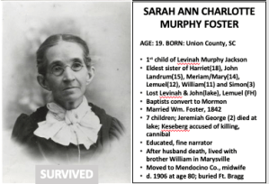 Read more about the article Sarah Ann Charlotte Murphy Foster
