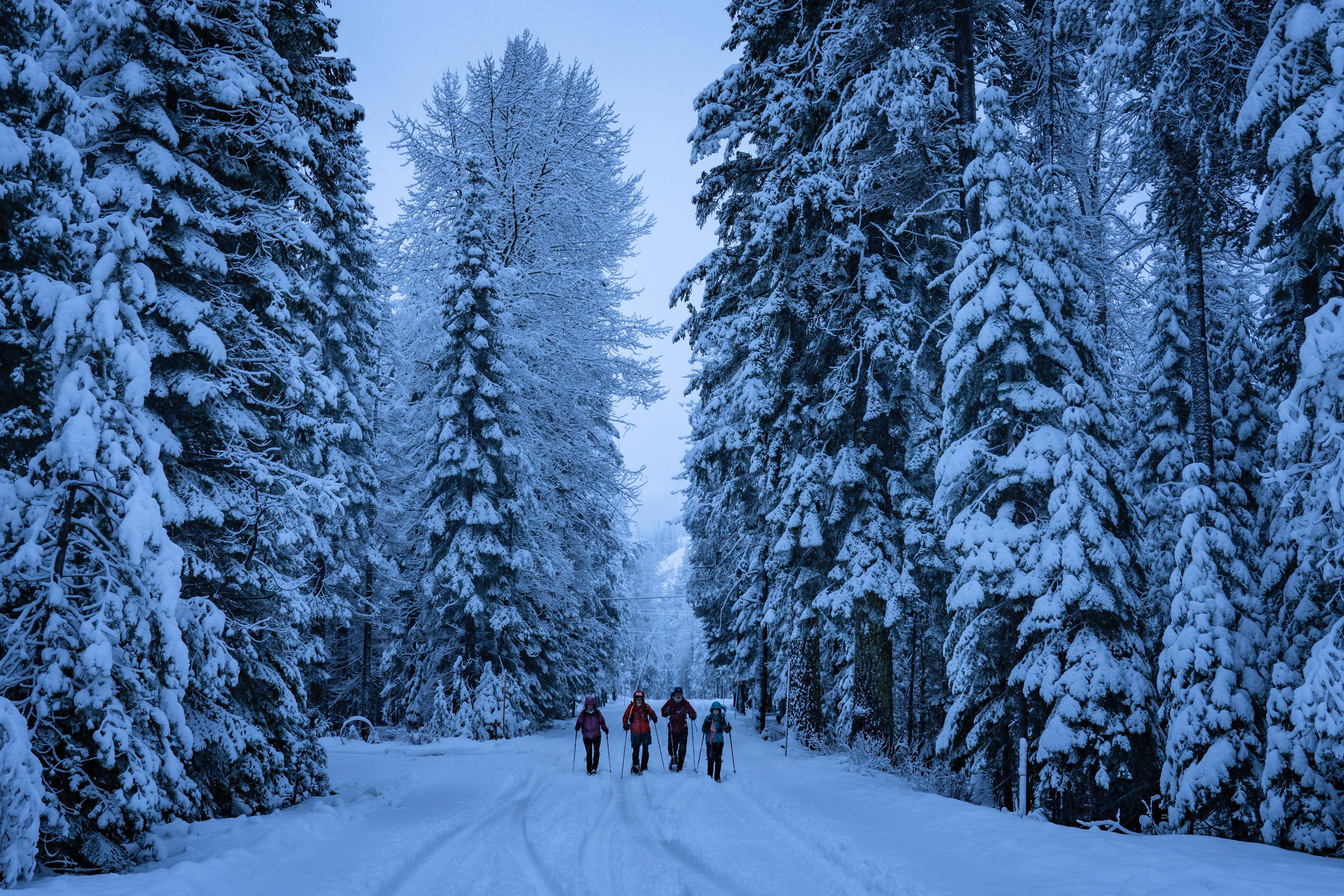 History Expeditions Historic Trail Exploration